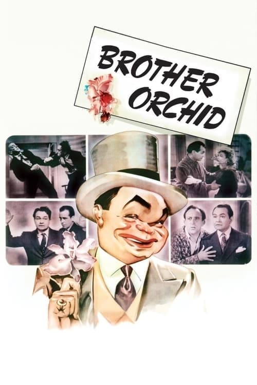 Irmão Orquídea poster