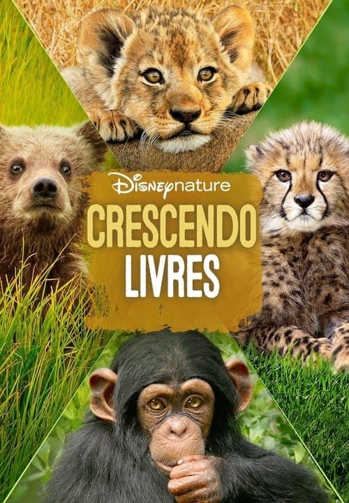 Crescendo Livres poster