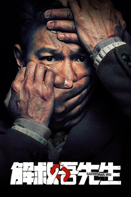 解救吾先生 poster