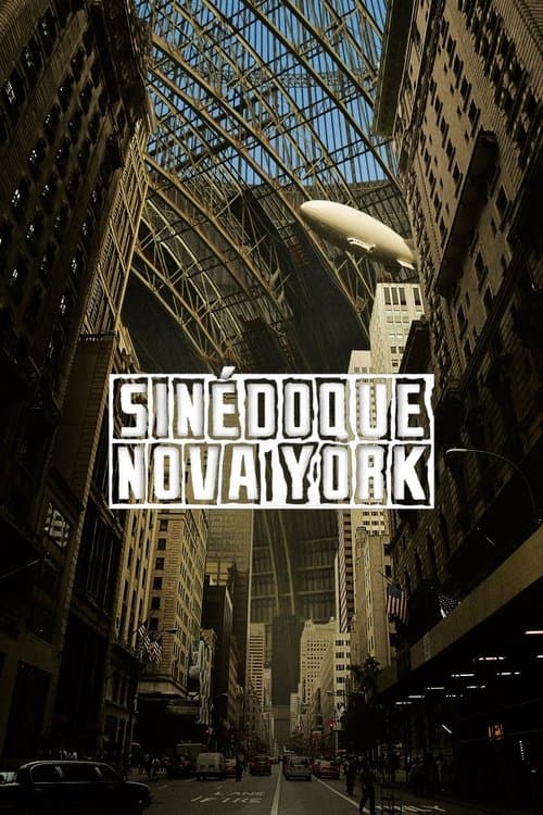 Sinédoque, Nova York poster