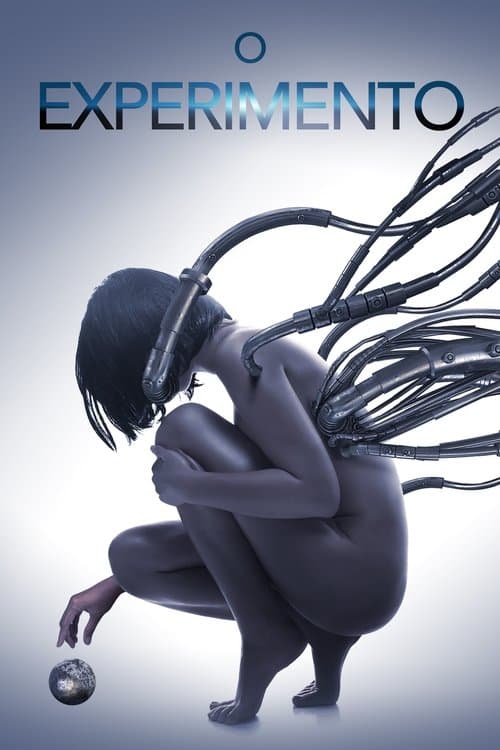 O Experimento poster