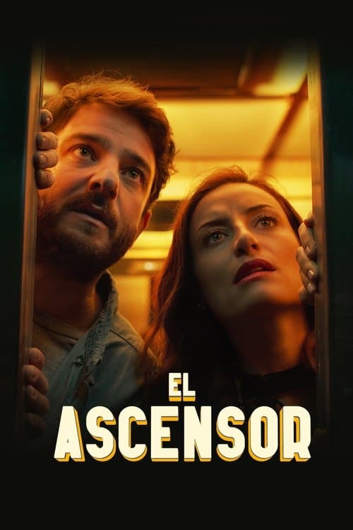 O Elevador poster