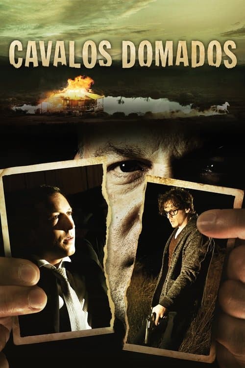 Cavalos Domados poster