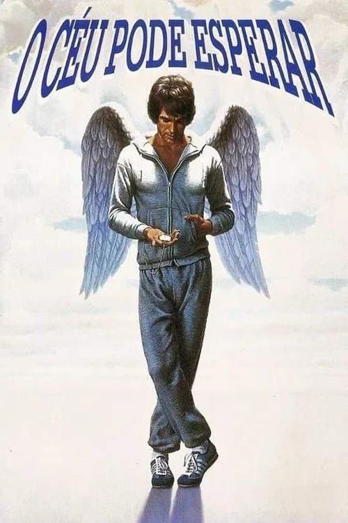 O Céu Pode Esperar poster