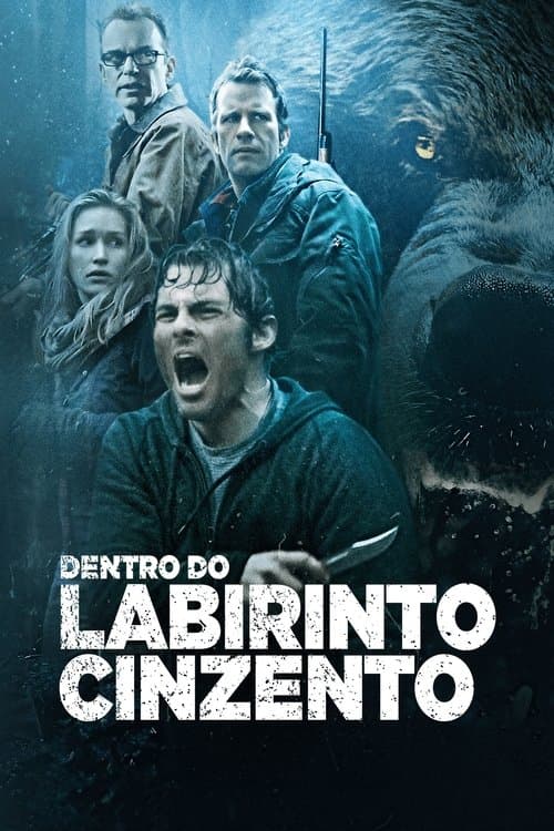 Dentro do Labirinto Cinzento poster