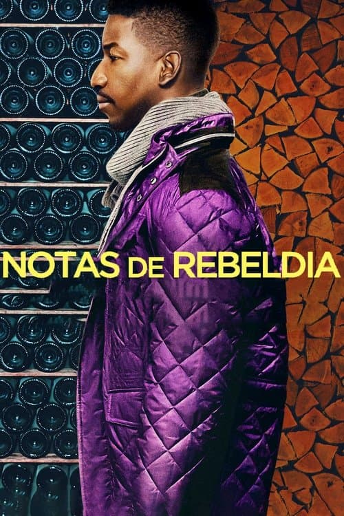 Notas de Rebeldia poster