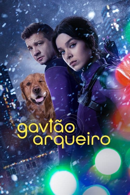 Gavião Arqueiro poster