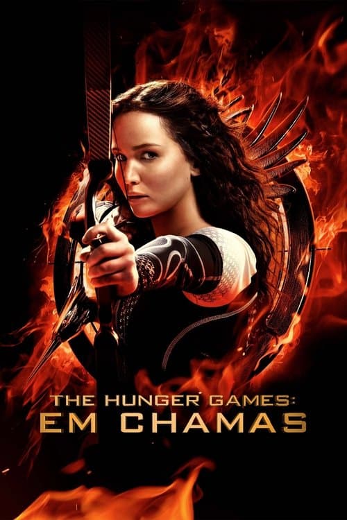 Jogos Vorazes: Em Chamas poster