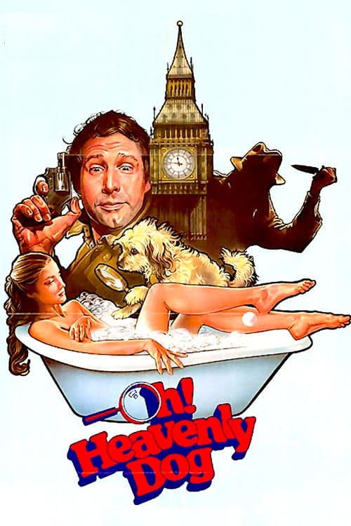 Benji O Cachorro Divino poster