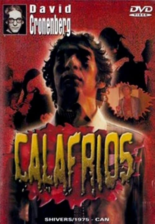 Calafrios poster