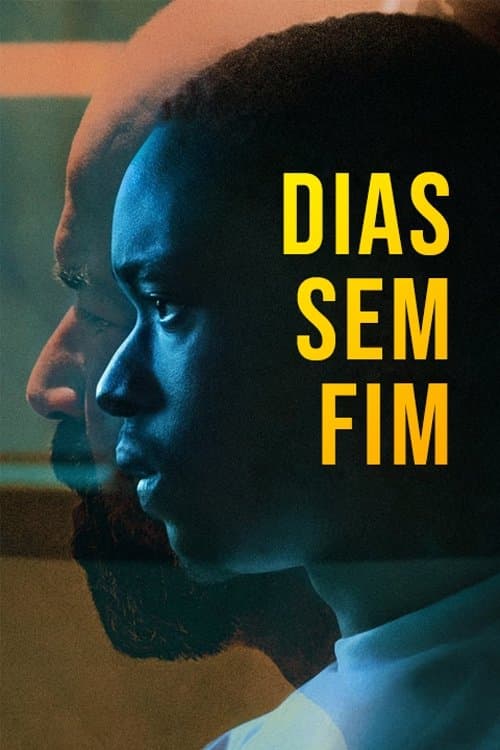 Dias Sem Fim poster