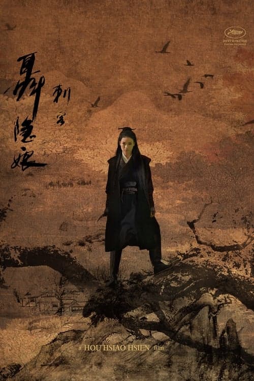 A Assassina poster