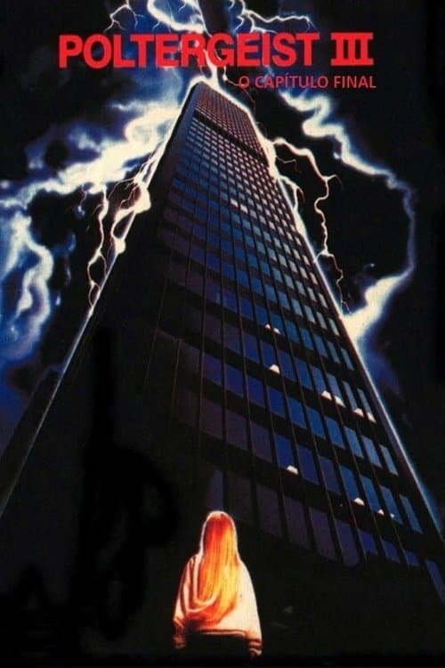 Poltergeist III: O Capítulo Final poster
