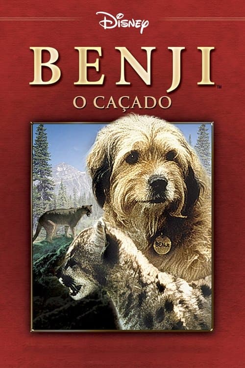 Benji - Um Cão Desafia a Selva poster