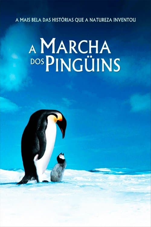A Marcha dos Pinguins poster