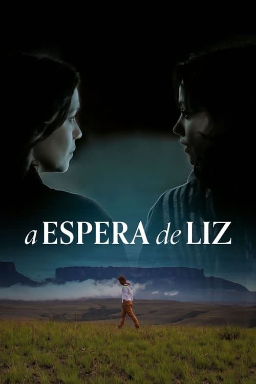 A Espera de Liz poster