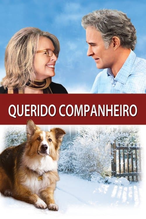 Querido Companheiro poster