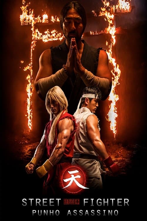 Street Fighter: Punho Assassino poster
