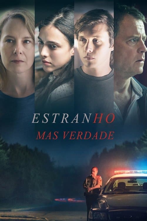 Estranho Mas Verdade poster