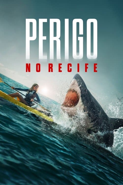 Perigo no Recife poster