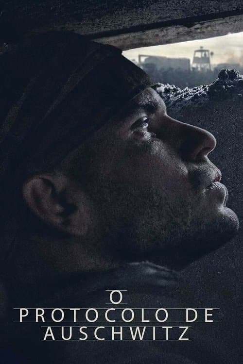 O Protocolo de Auschwitz poster