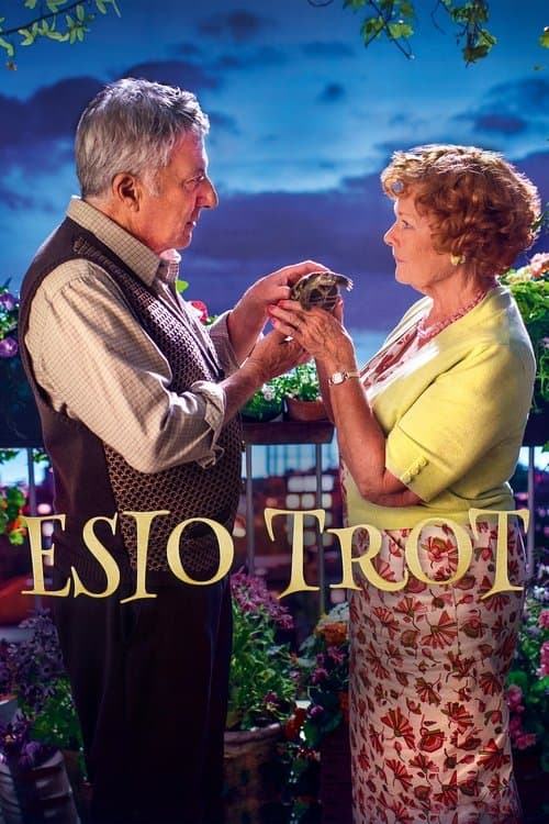 Um Amor de Estimação poster