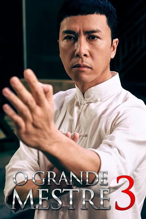 O Grande Mestre 3 poster
