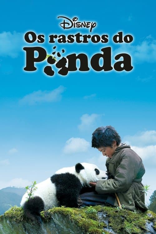 Os Rastros do Panda poster