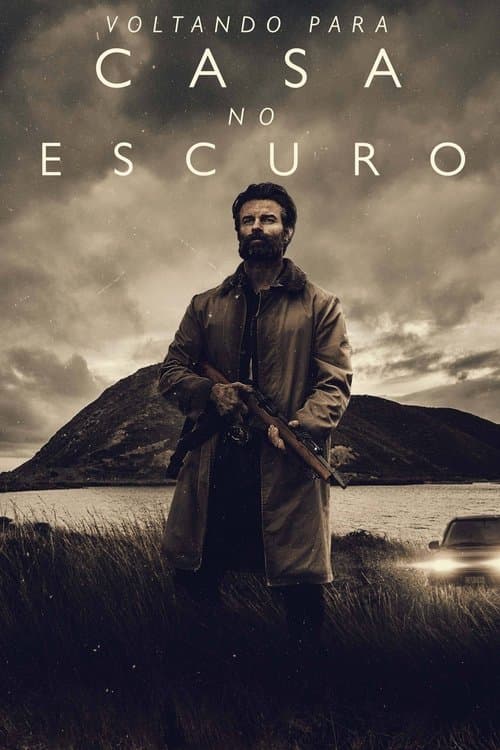 Voltando para Casa no Escuro poster