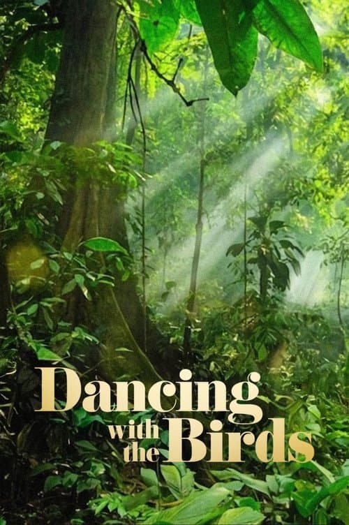 Dança dos Pássaros poster