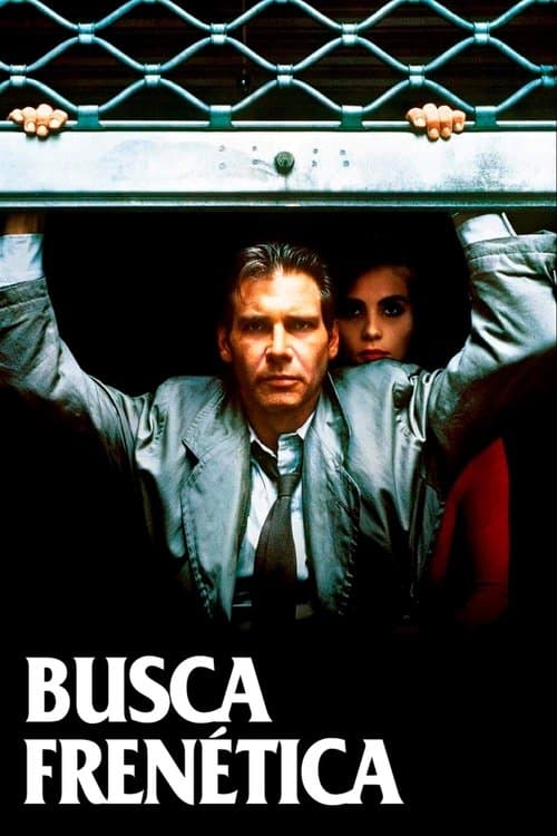 Busca Frenética poster