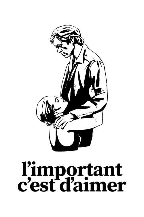 O Importante é Amar poster