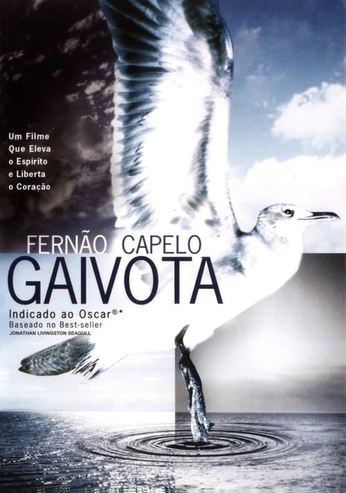 Fernão Capelo Gaivota poster