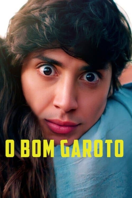 O Bom Garoto poster