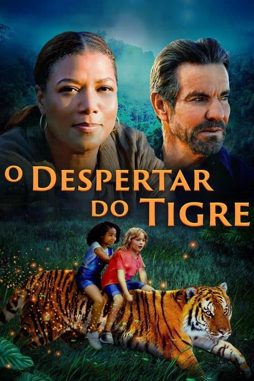 O Despertar do Tigre poster