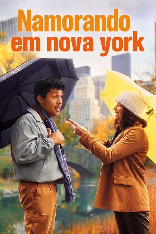 Namorando em Nova York poster