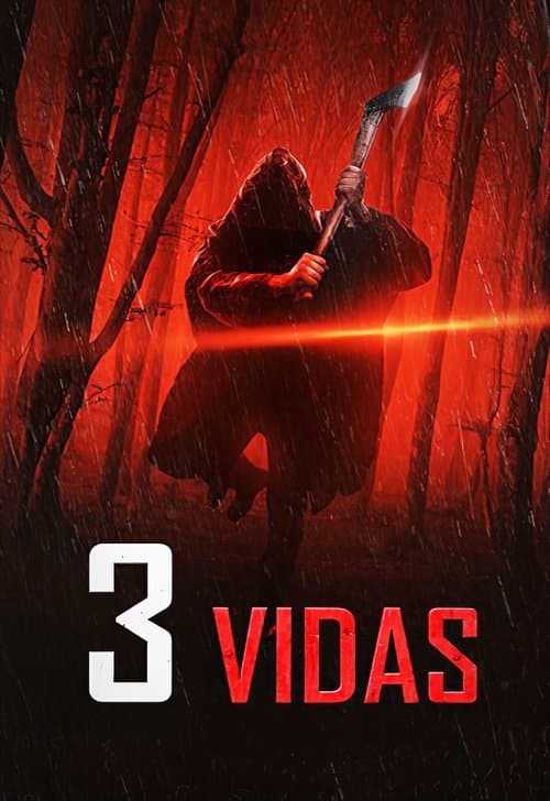 3 Vidas poster