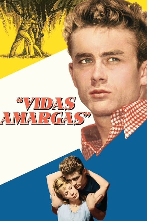 Vidas Amargas poster