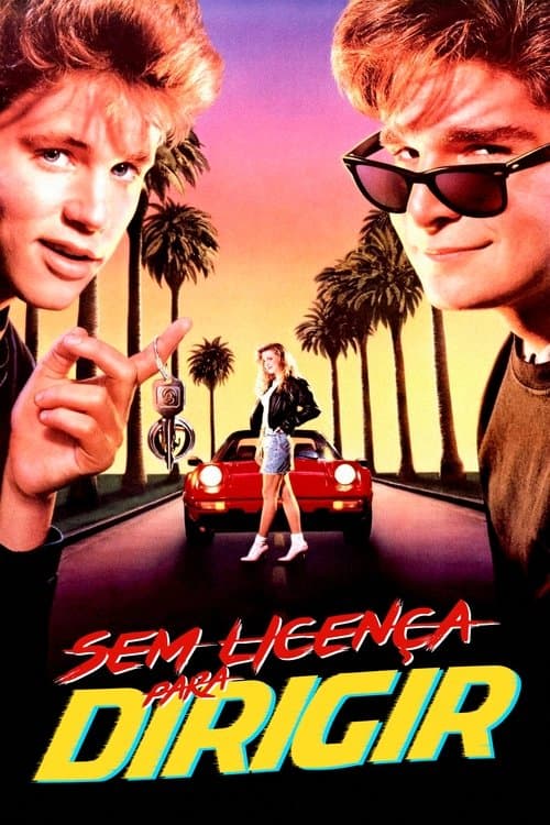 Sem Licença para Dirigir poster