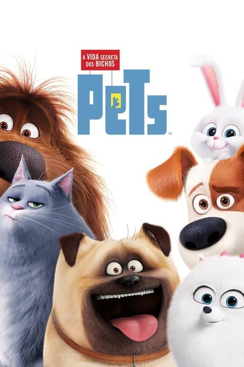 Pets: A Vida Secreta dos Bichos poster