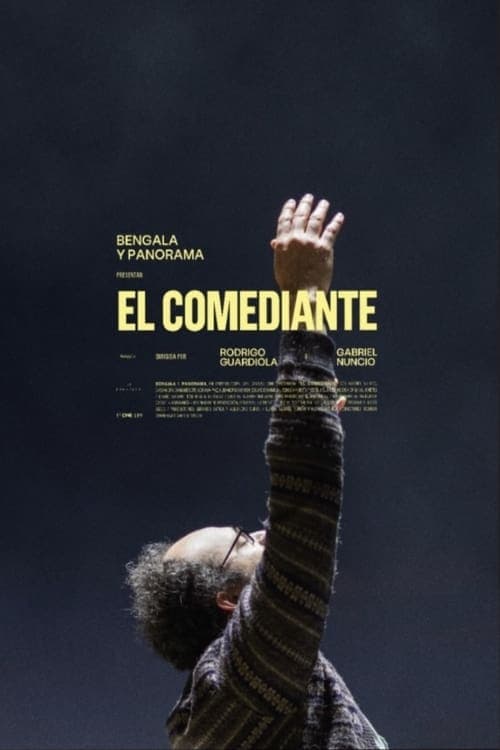 Essa Não É uma Comédia poster