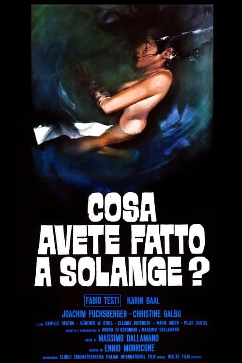 O Que Vocês Fizeram com Solange? poster