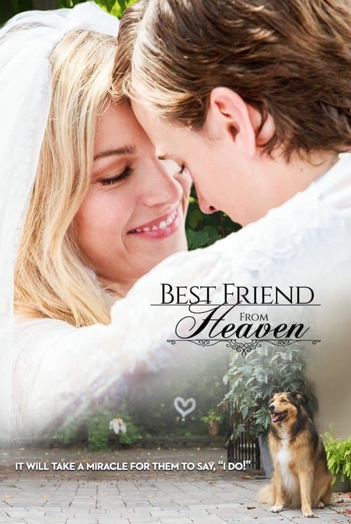 Melhor Amigo do Céu poster