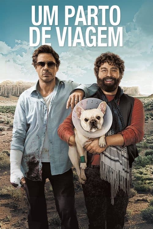 Um Parto de Viagem poster