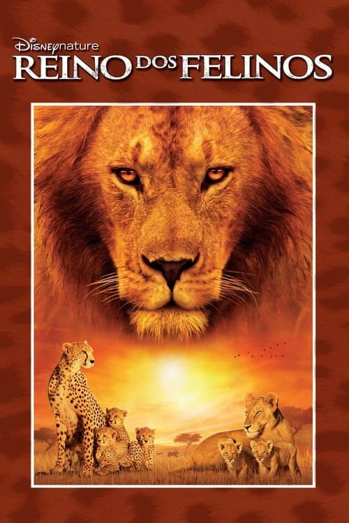 Reino dos Felinos poster