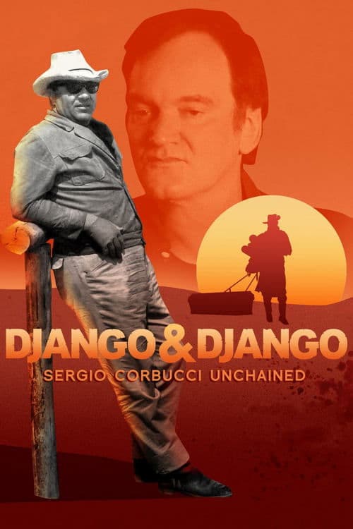 Django & Django poster