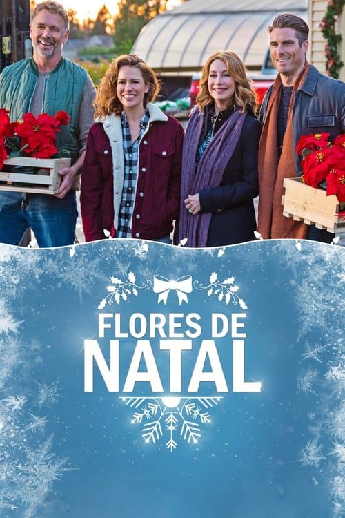 Flores de Natal poster