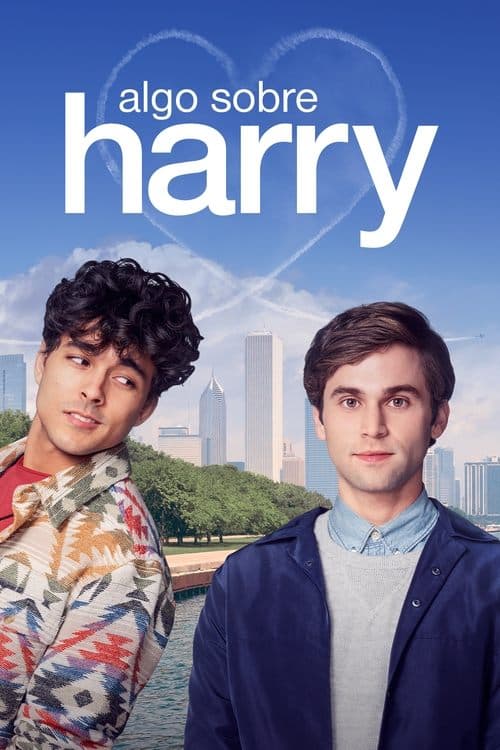 Algo Sobre Harry poster