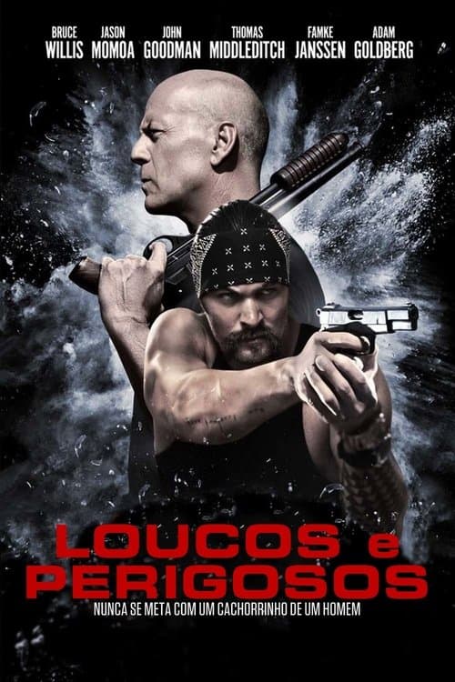 Loucos e Perigosos poster