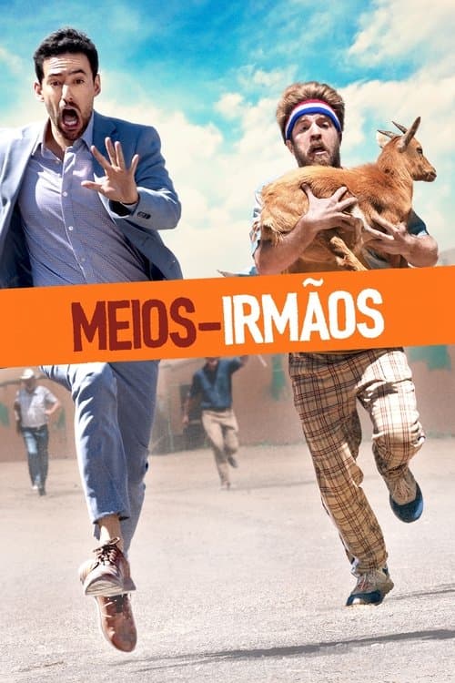 Meios-Irmãos poster